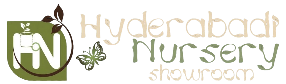 Hyderabadi Nursery Showroom